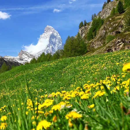 Apartament Matten - Utoring-15 By Interhome Zermatt